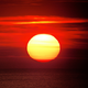 Illustration for article titled Born Under A Bad Sun: Solar Activity Blamed For Much Shorter Lifespans